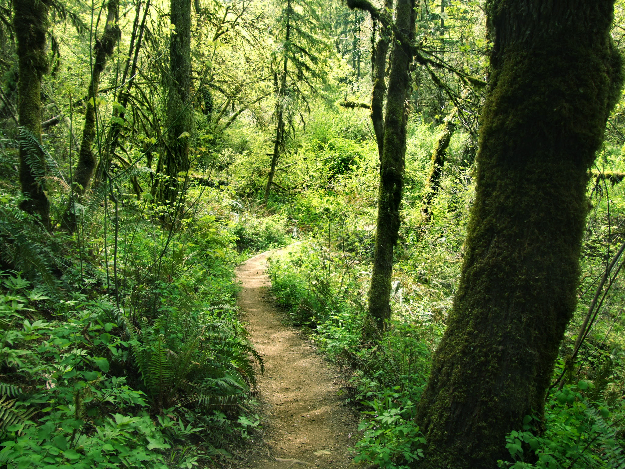 We make our faith by walking