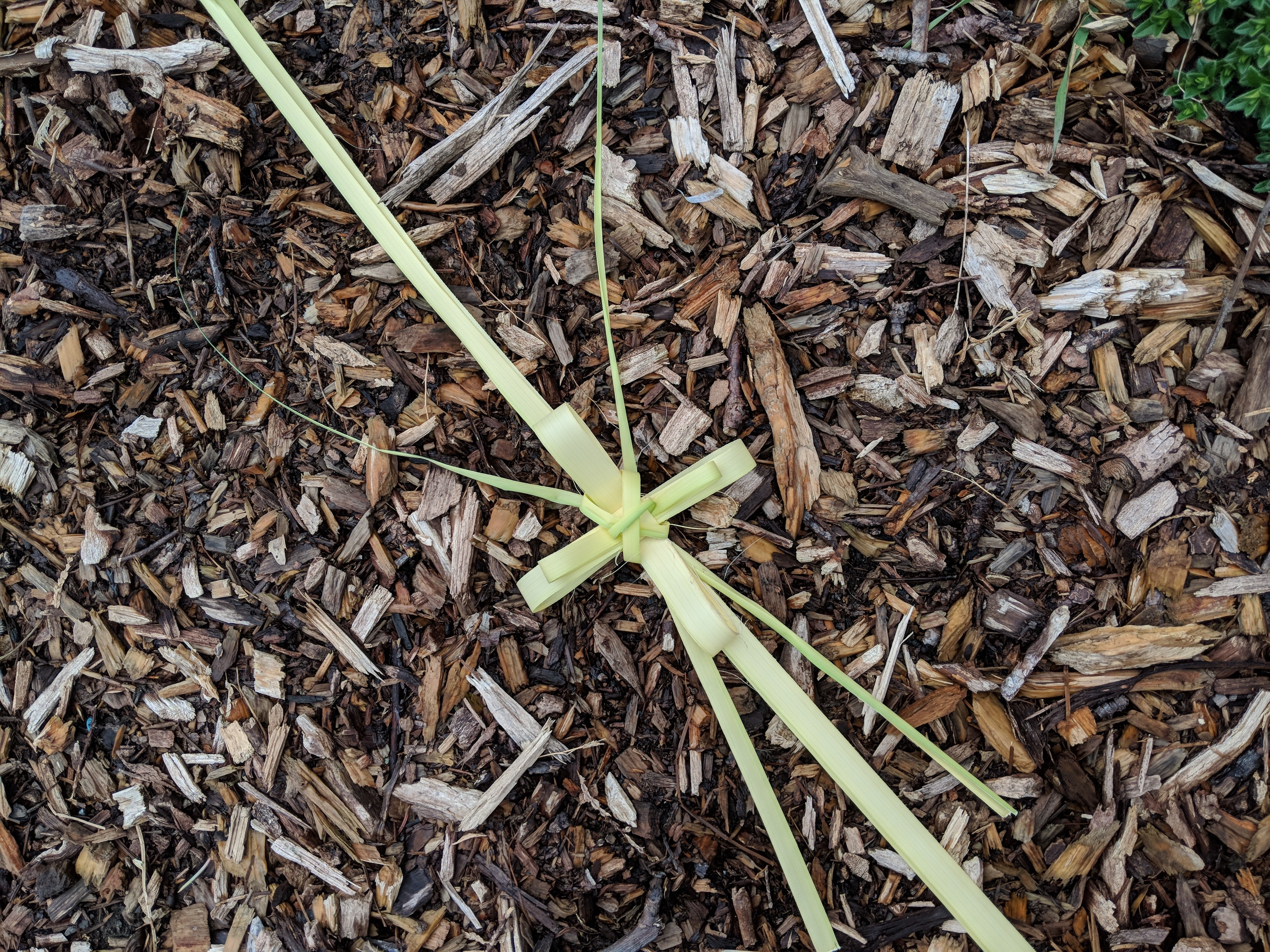 When a Chest is a Coffin