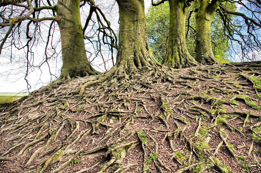 Change Is A Catholic Tradition