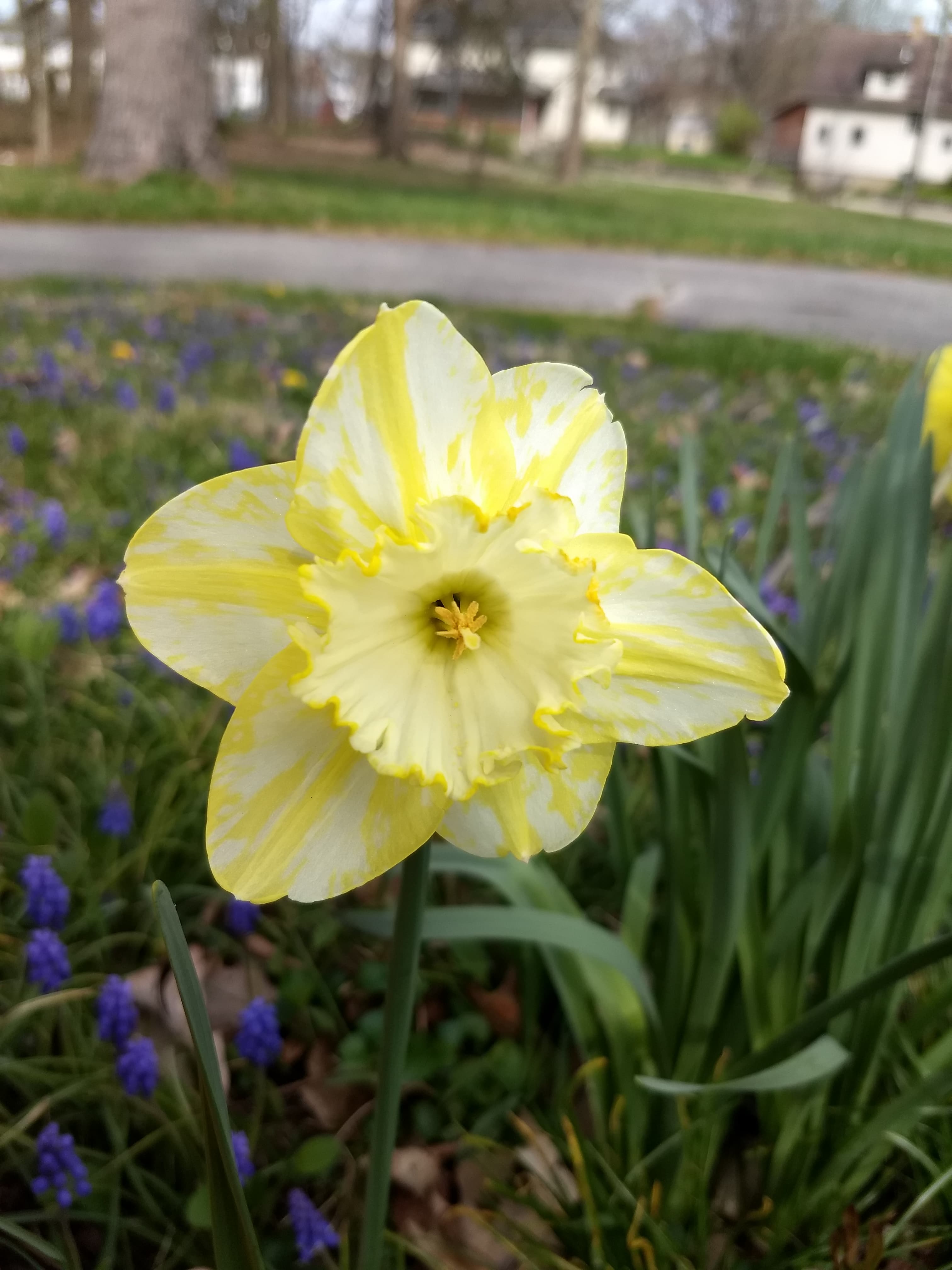 A Brief Reflection on Easter Flowers