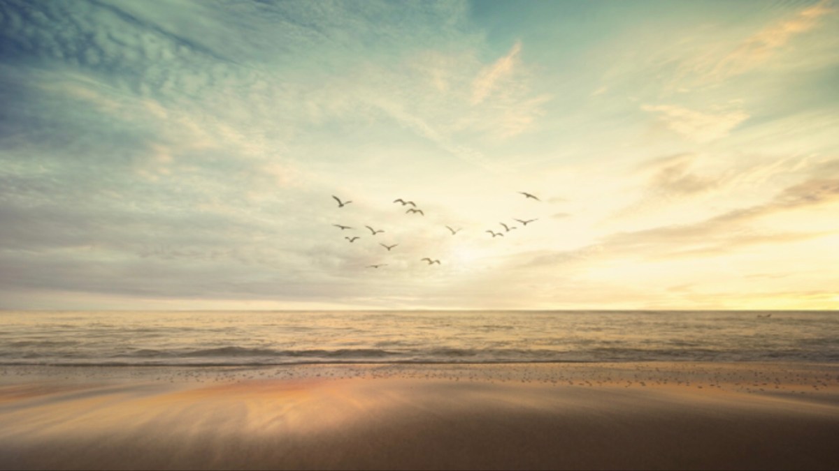 The quiet voices of Empathy and Compassion speak to us.