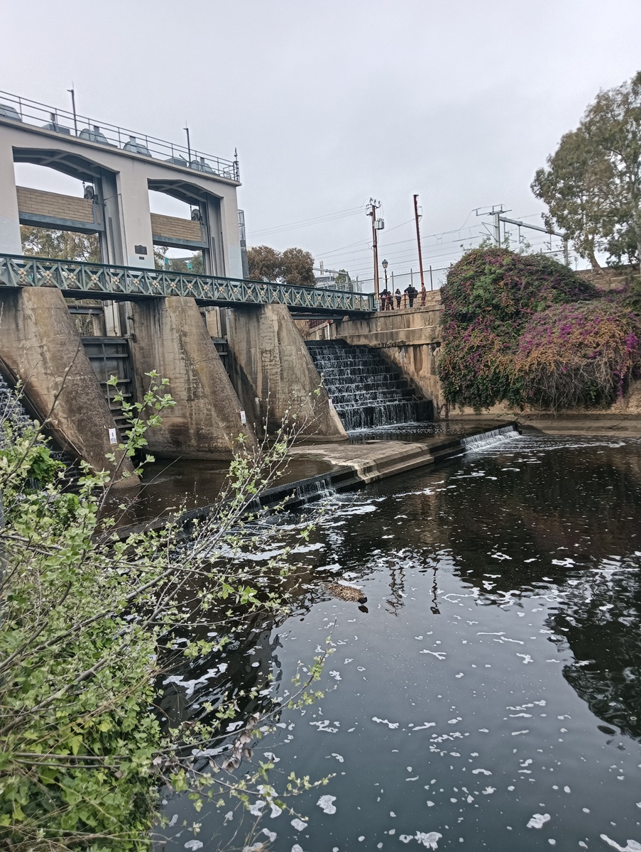Reading the Bible Down Under, ISBL Adelaide 2026