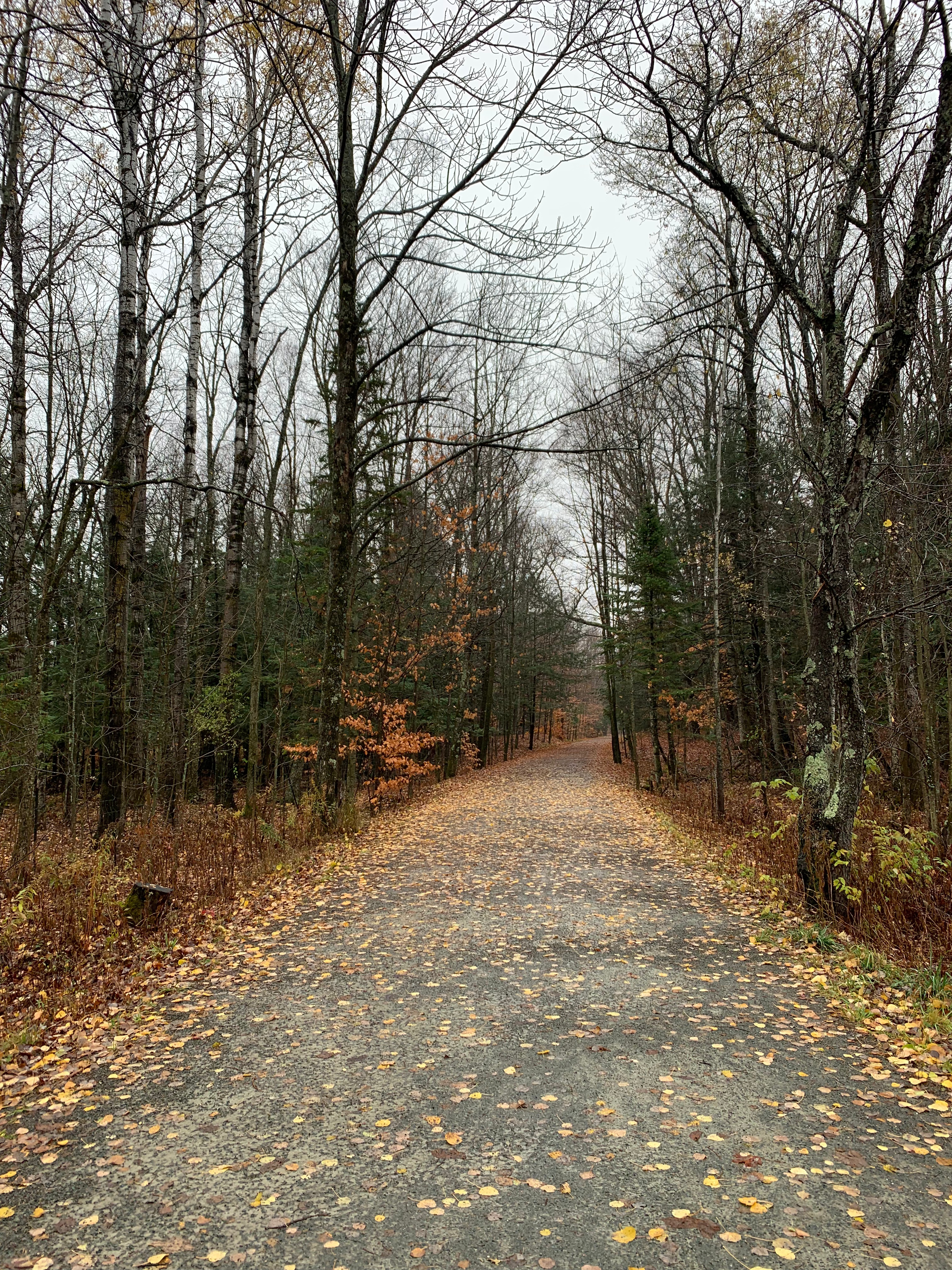 Searching for Liminal Space in Advent