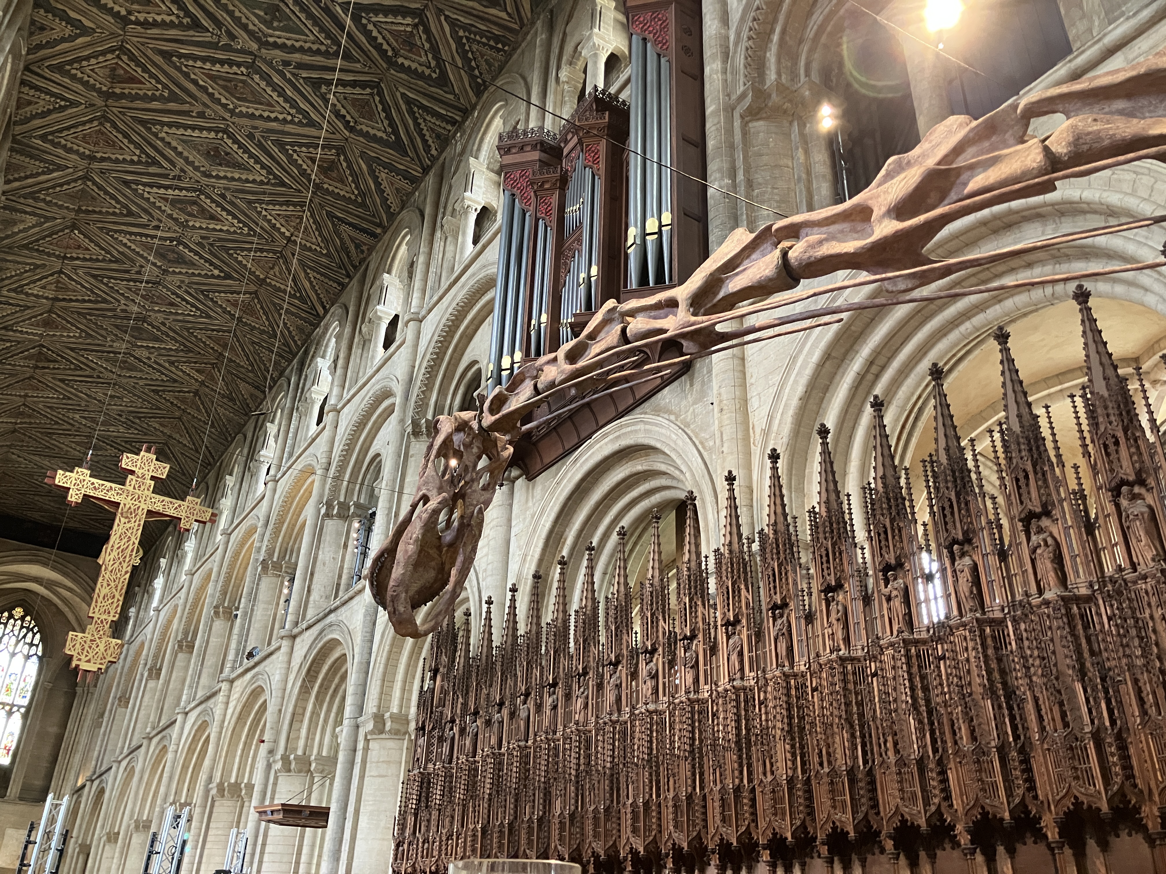 From the right hand side, the long neck and head of a dinosaur cast stretches across 3/4 the picture. A gold cross hangs on the far left. In the background are ornately carved wooden stalls and stone arches.